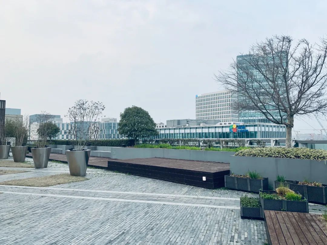 1666681899660713YPPc.jpg 實習內外 · AECOM|探訪上?;▓@文化實踐,從屋頂花園更新到社區花園節9.jpg