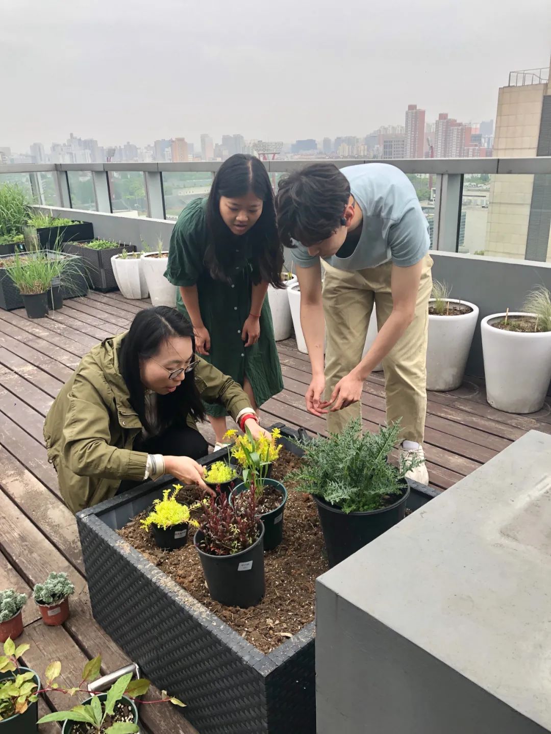 1666681924492661MEgv.jpg 實習內外 · AECOM|探訪上海花園文化實踐,從屋頂花園更新到社區花園節14.jpg