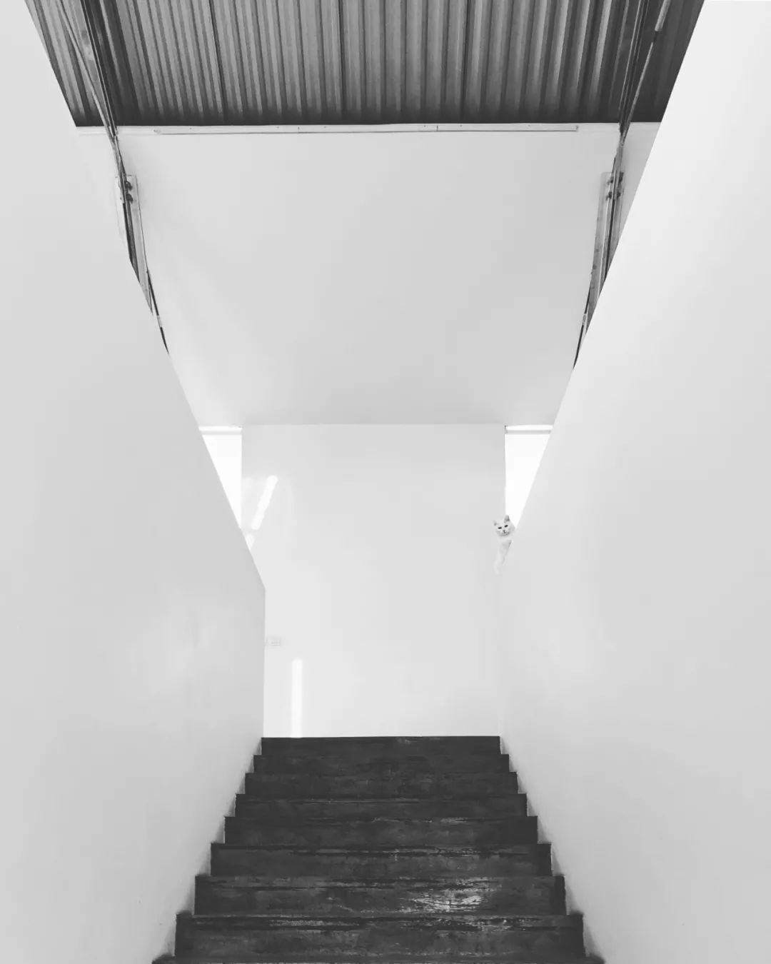 1666682710670236y77N.jpg 職場萌新指南 · 大舍建筑|“即物即境”:二十年詩理哲學的建筑實踐13.jpg