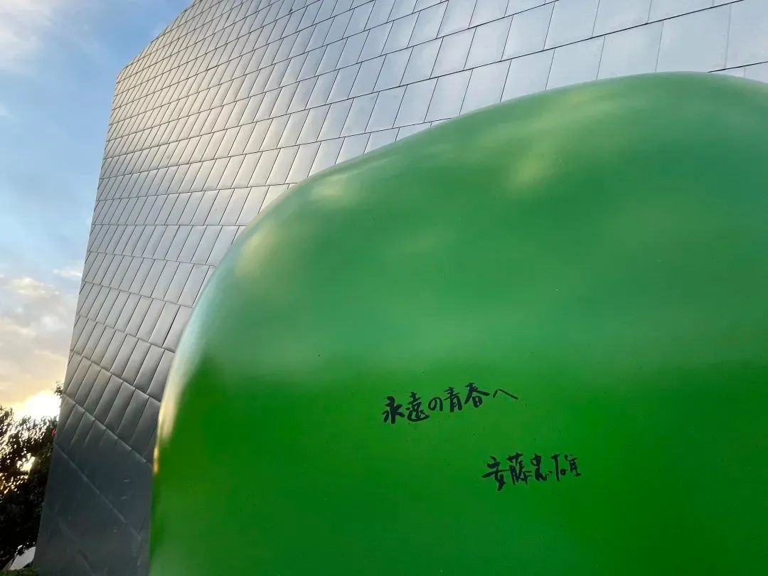16679838271525435tlU.jpg 拋去流量,安藤的“青春”,是一種心境27.jpg
