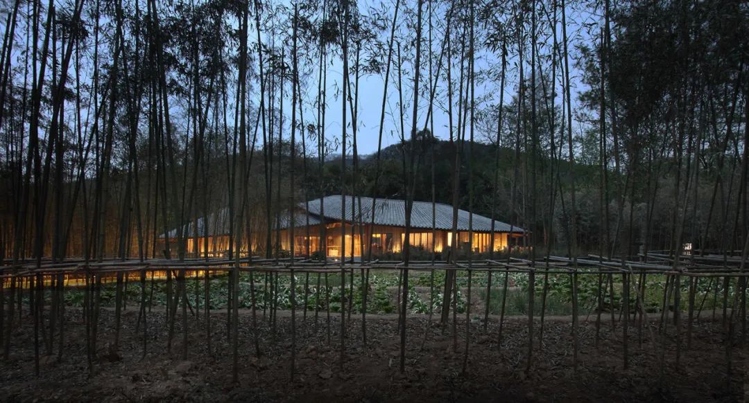 166849847145574468Tn.jpg AIA International Design Awards獲獎項目全解析|根植于本土的建造17.jpg