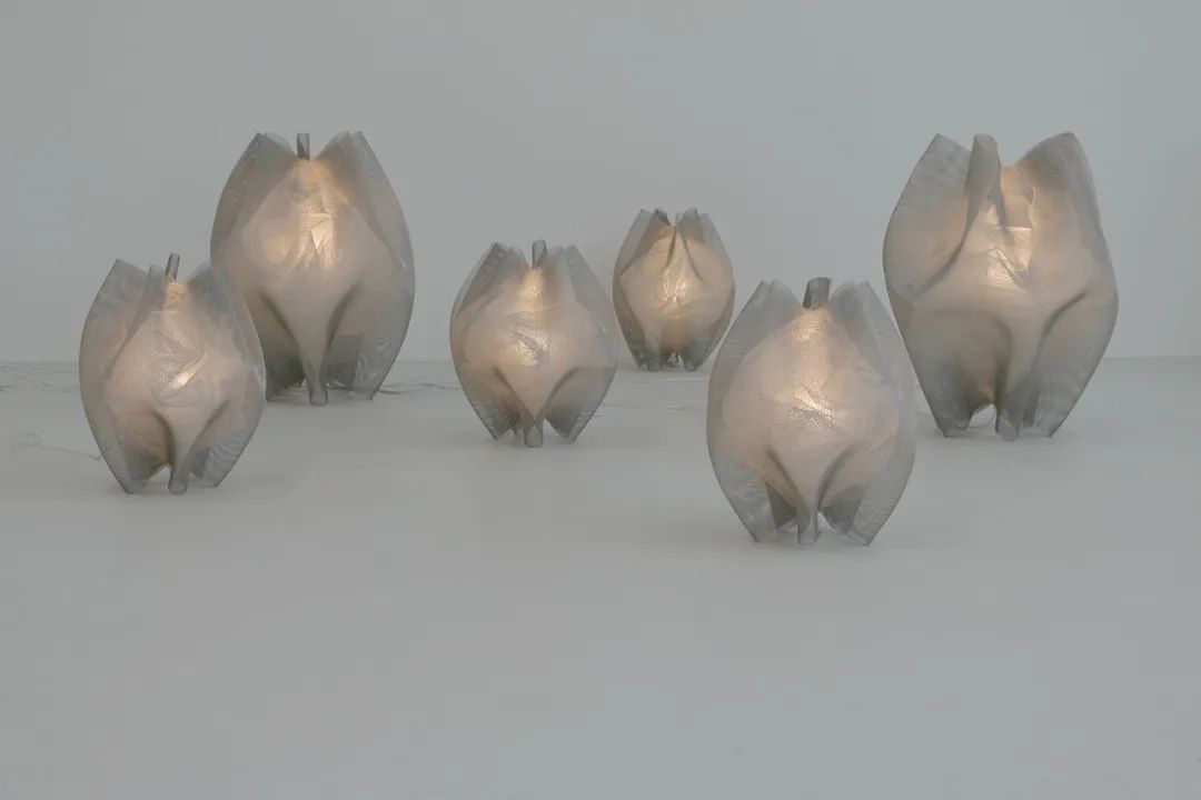 1669792216995519wXWu.jpg 640.jpg