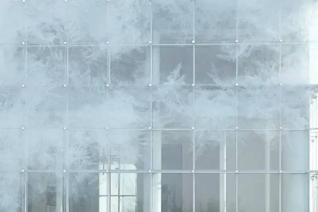 1675042589722058CntW.jpg 640.jpg