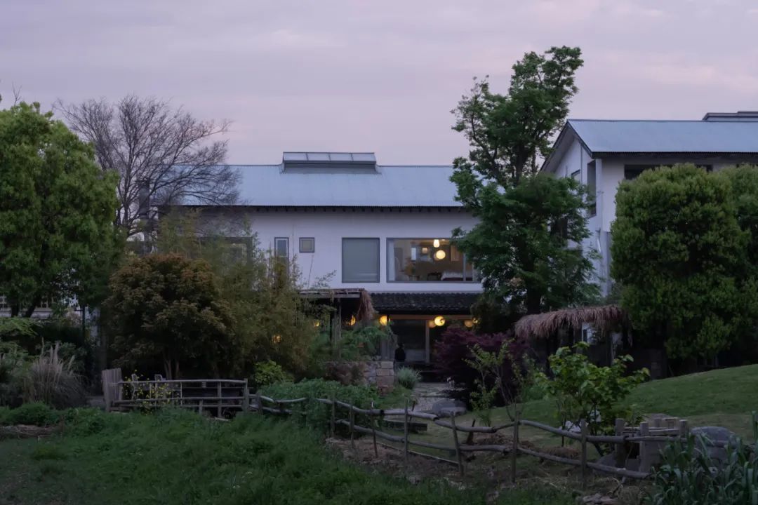 1685607292545205IlWH.jpg 10017.jpg
