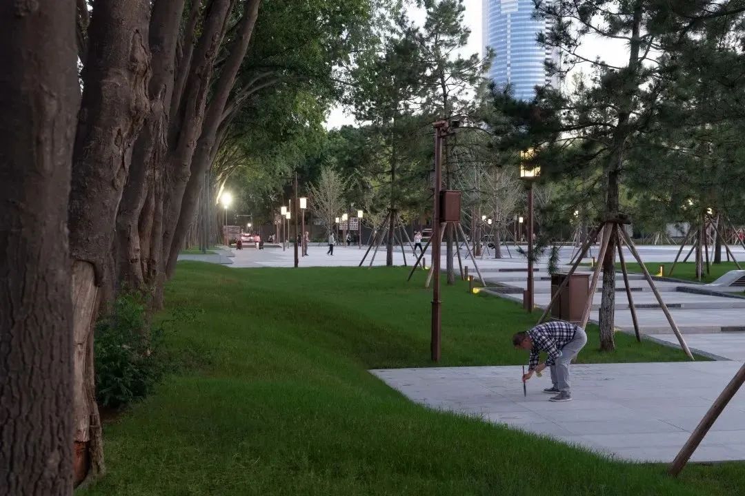 1688635393493985z8KU.jpg 10041.jpg