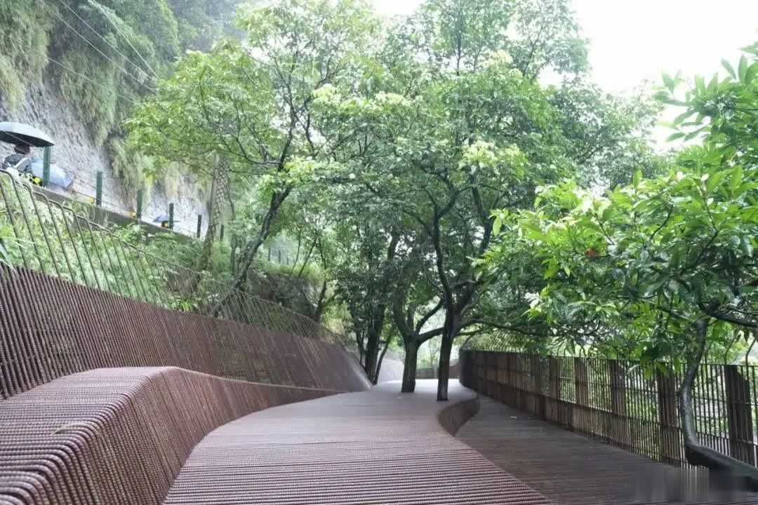1688961345908760G9lG.jpg
