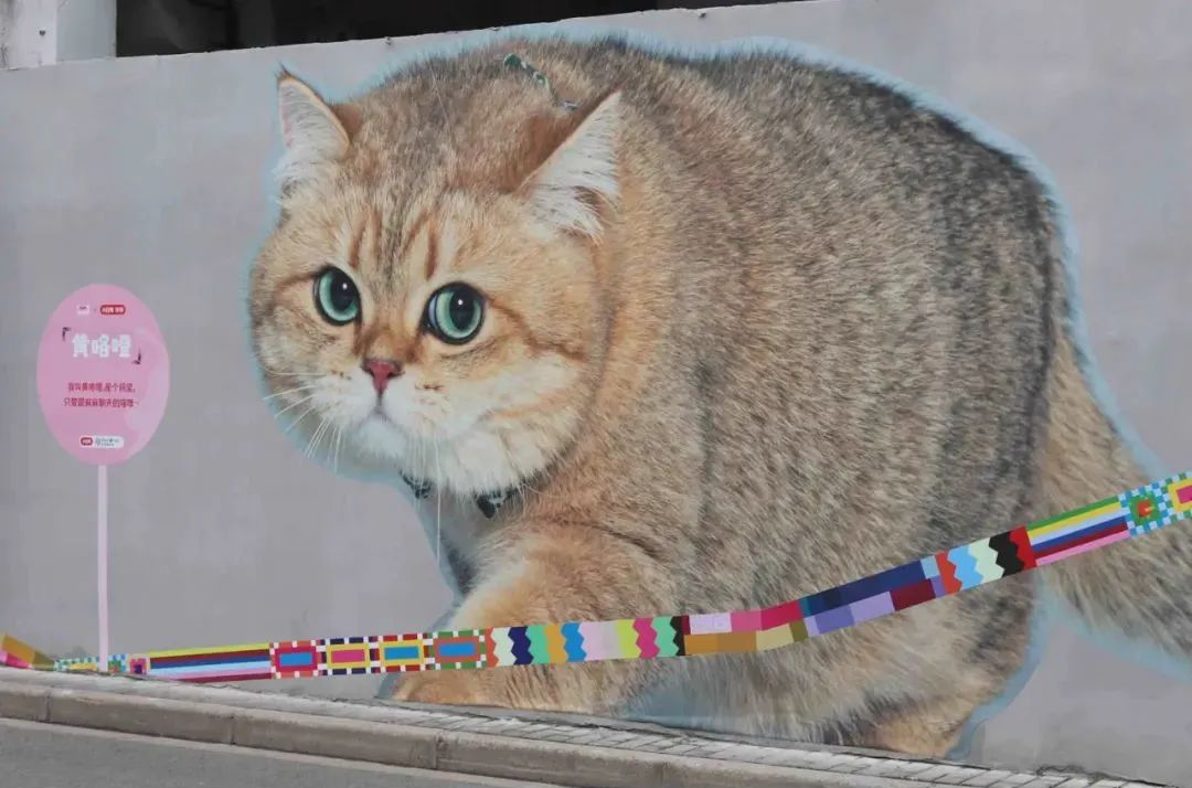 1691380597677913BAsr.png 10007.png