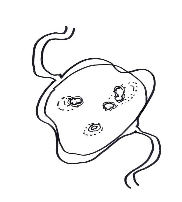 1730445179604237IJMr.jpg 圖2-1.jpg