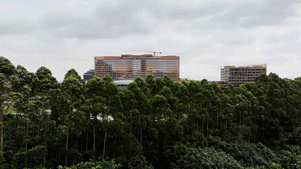 1730968527960412Q9O0.gif 86b9bf8f6f60e82dc0180cda6cc40f4e.gif