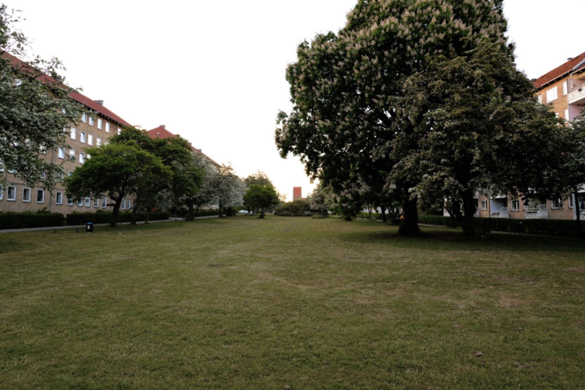 5b2928ccc8607f55ac219beeab61f0d3.jpg
