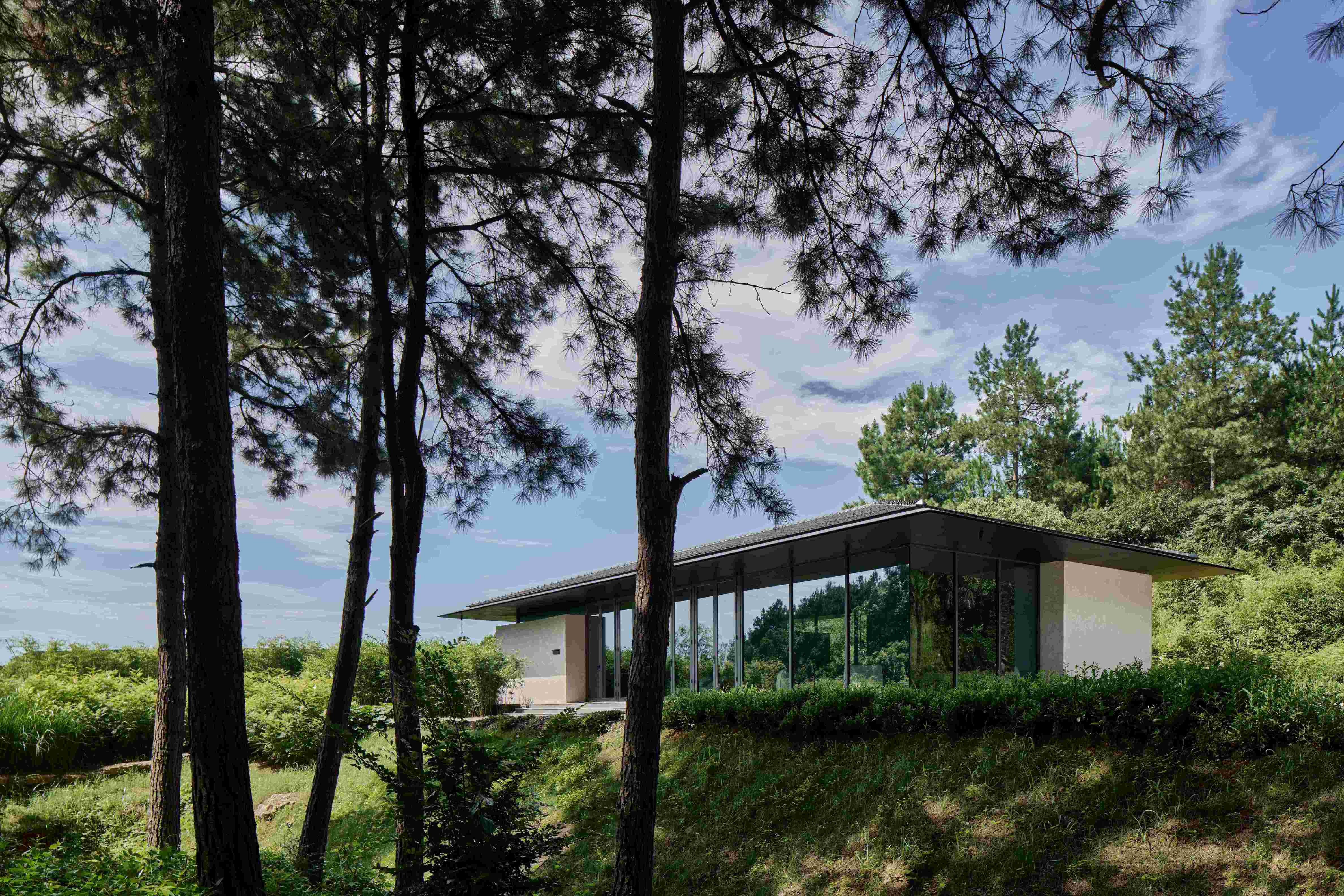 03 Anadu Pine Villa?Seth Powers.jpg