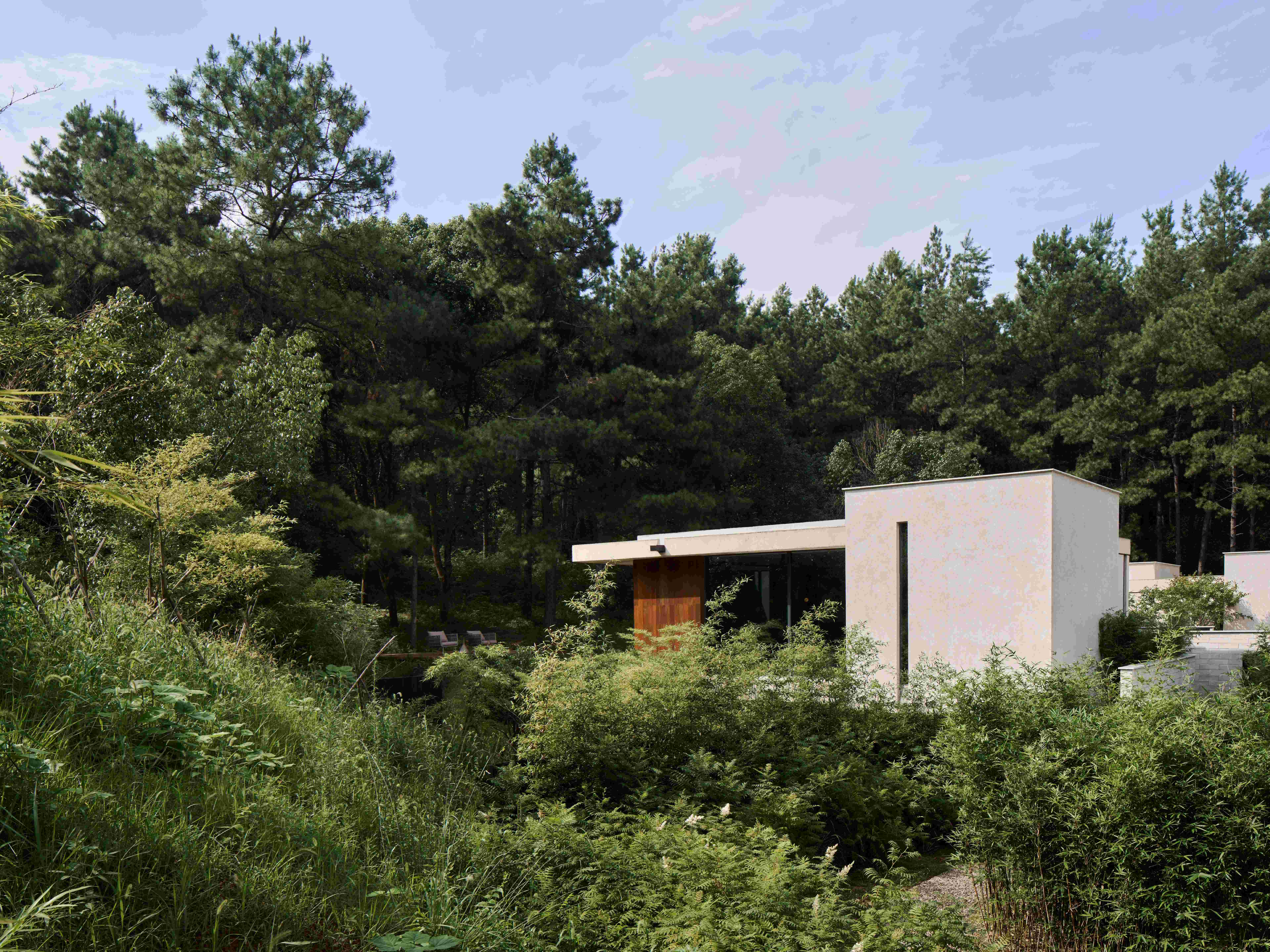 04 Anadu Pine Villa?Seth Powers.jpg